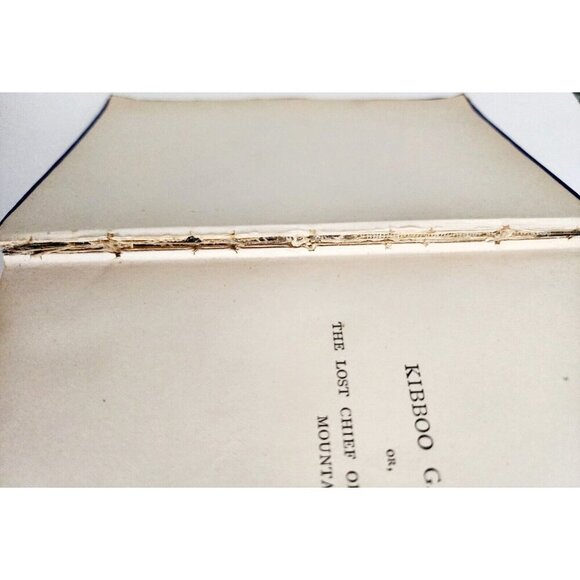 1889 Kibboo Ganey Wentworth 1st Edition Victorian HC Book Africa Adventure WHBS - Picture 9 of 9